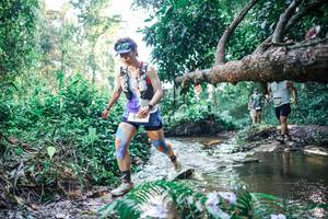 BIB: 
                            <button type="button" onclick="openModal(25436749)" class="btn btn-primary btn-sm float-right btn-popup" data-toggle="modal" data-target=".modal-high-quality">
                        <i class="fas fa-shopping-cart"></i> Add to Cart
                    </button>
                                            <button type="button" onclick="isThisMe(25436749, true)" class="btn btn-success btn-sm float-right btn-popup btn-isme hidden" data-toggle="tooltip" data-placement="bottom" title="นี่คือรูปของคุณใช่ไหม คลิกที่นี่เพื่อเอาเข้าอัลบั้ม">
                        <i class="fas fa-plus"></i> Add to album
                    </button>
                    <button type="button" onclick="isThisMe(25436749, false)" class="btn btn-warning btn-sm float-right btn-popup btn-isnotme hidden">
                        <i class="fas fa-ban"></i> Remove from album
                    </button>